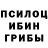 Галлюциногенные грибы мицелий Sem Semmi